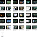 思泉大语文五年级